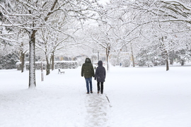 Téli séta a parkban!