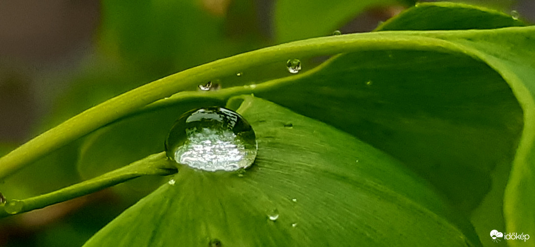 Esős éjszaka volt Szegeden