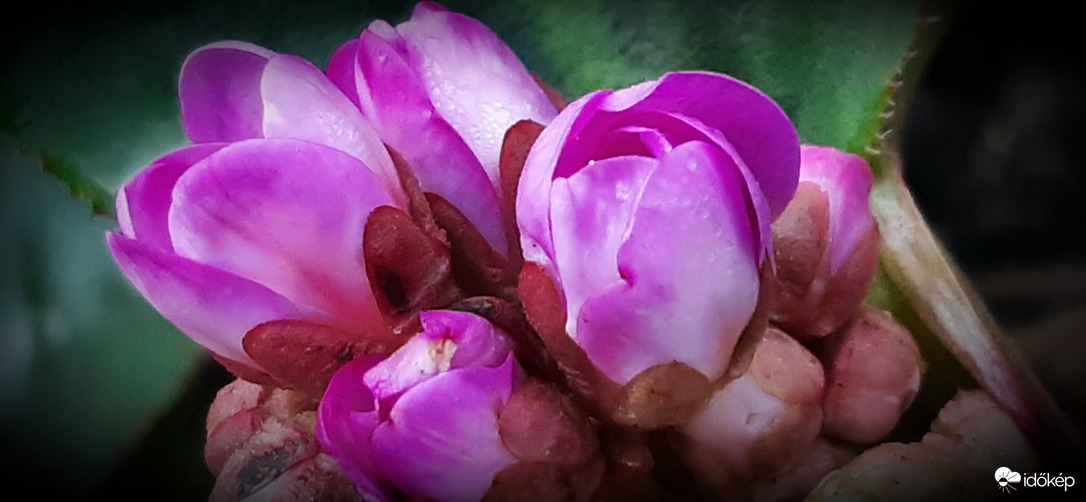 De itt van, de itt van...