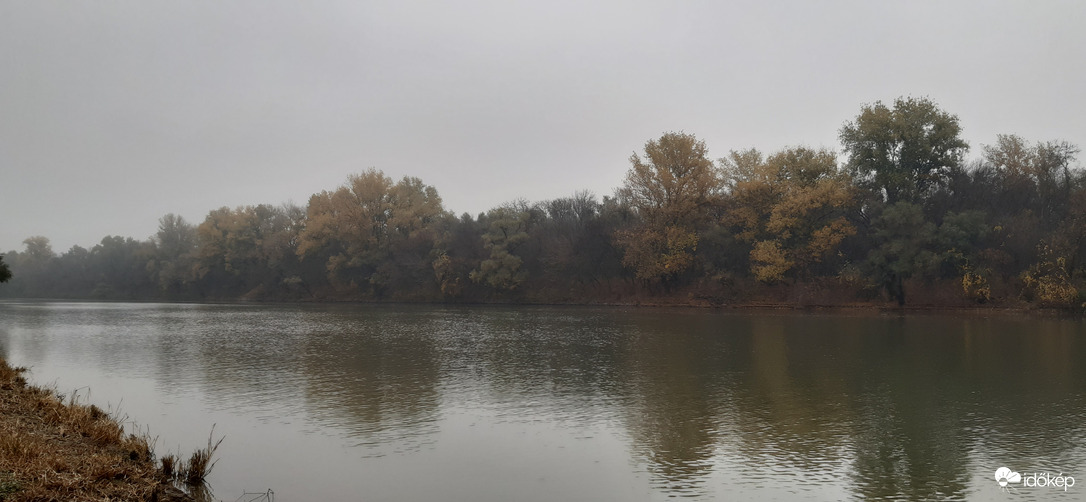 Algyői Tiszapart