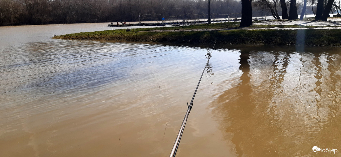 Algyő,Tisza