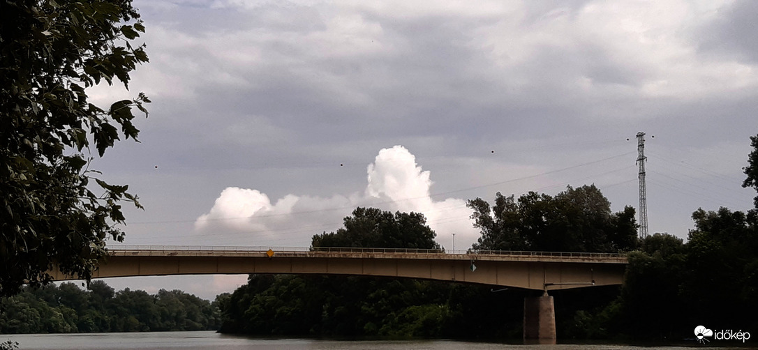 Algyői híd és a Tisza