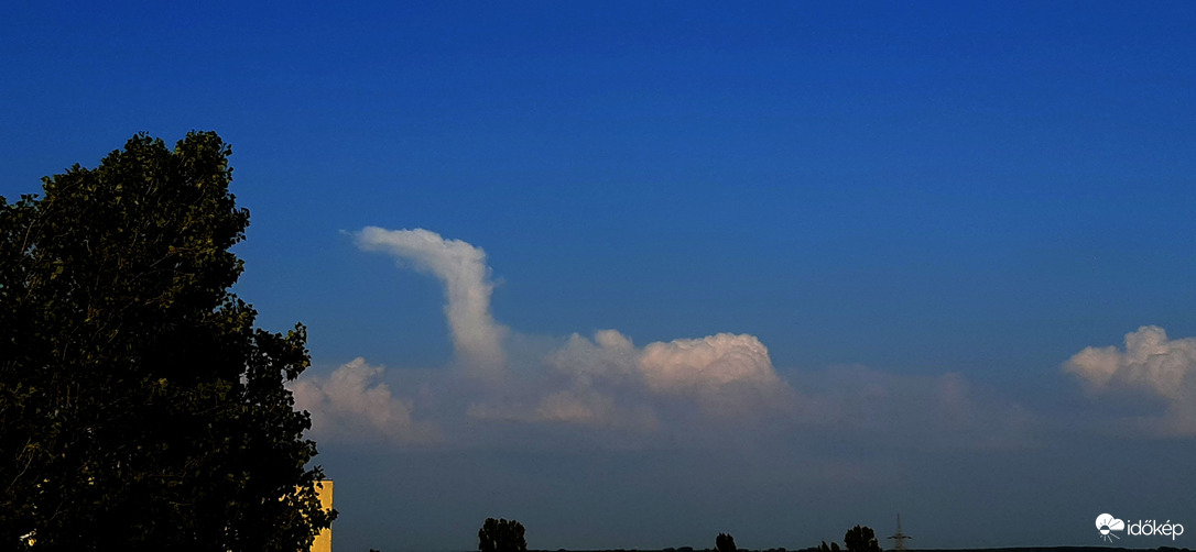 Kigyosz, dinosz?? :D