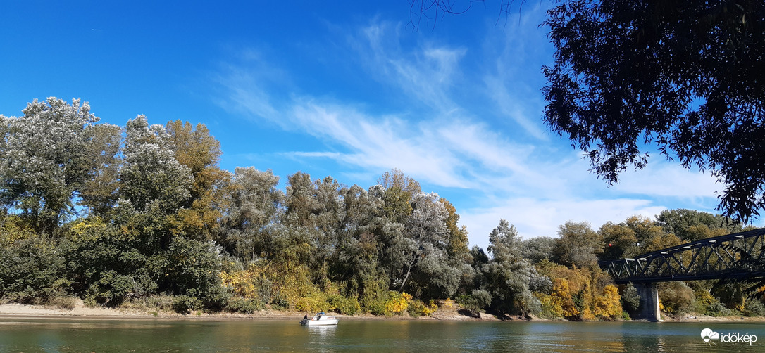 Tisza, Algyő
