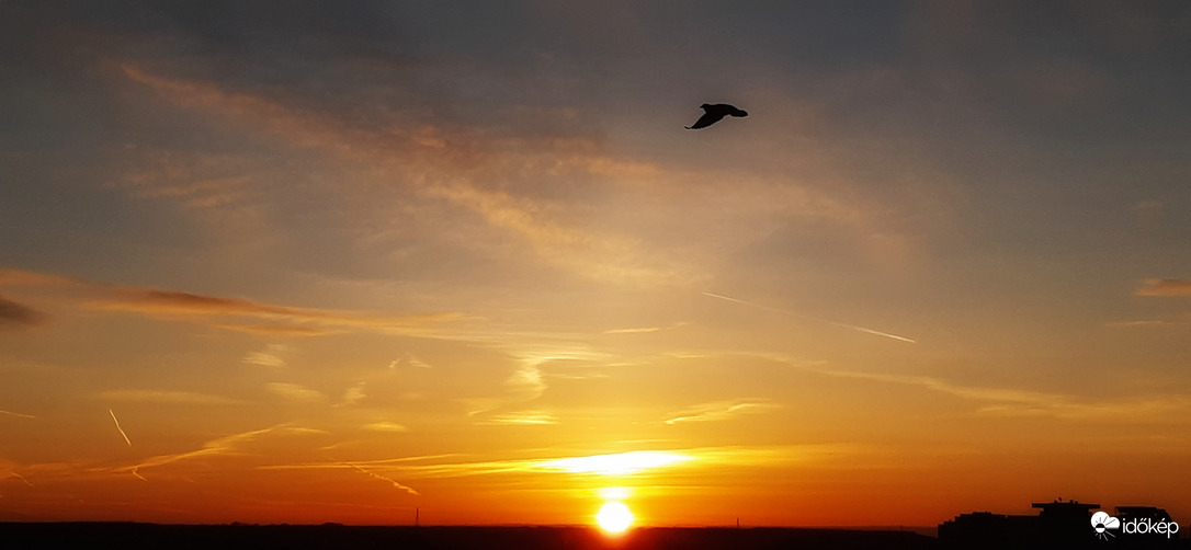 Szeged 12.27. Tavaszias, rigódalos napkelte :)