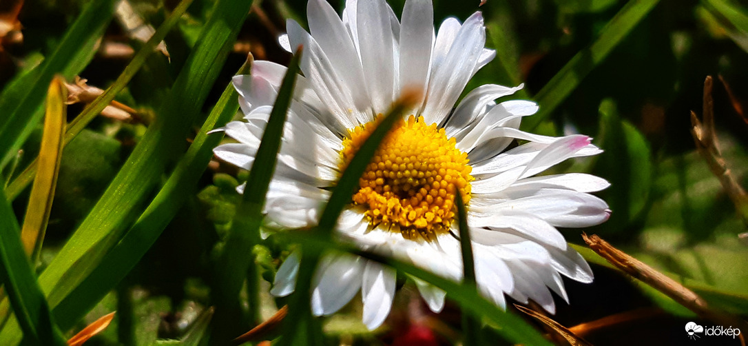 Az ezerarcú szépség :)