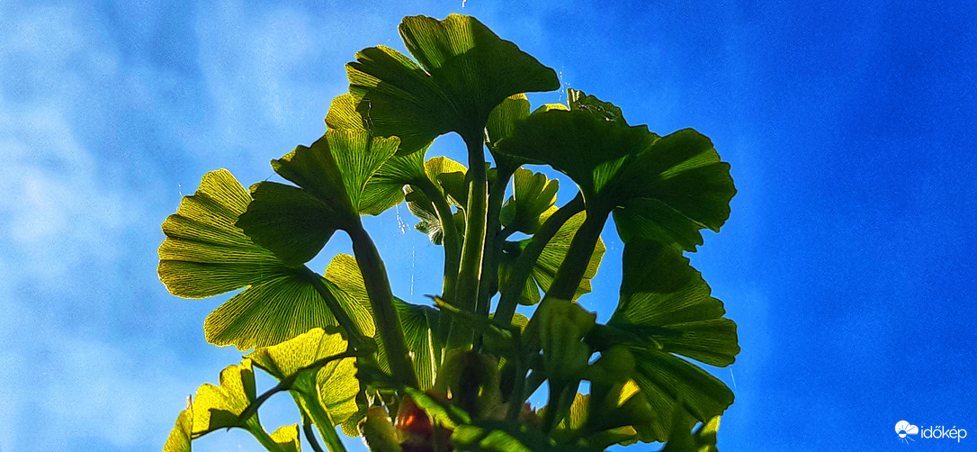 "Túl a csúcson" :))