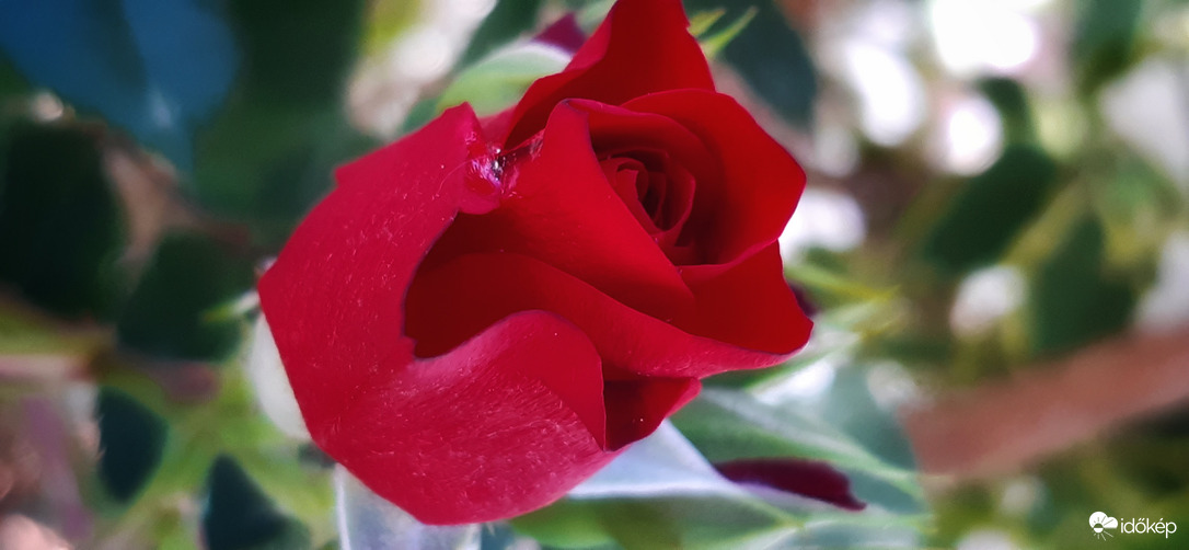 Még egy kis esőcsepp :))