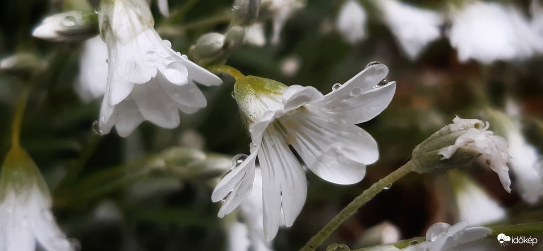 Kevesebb, néha több :))