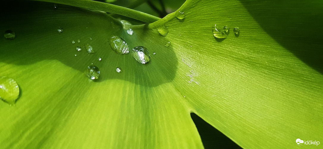 Szeged is kapott végre az esőből :))