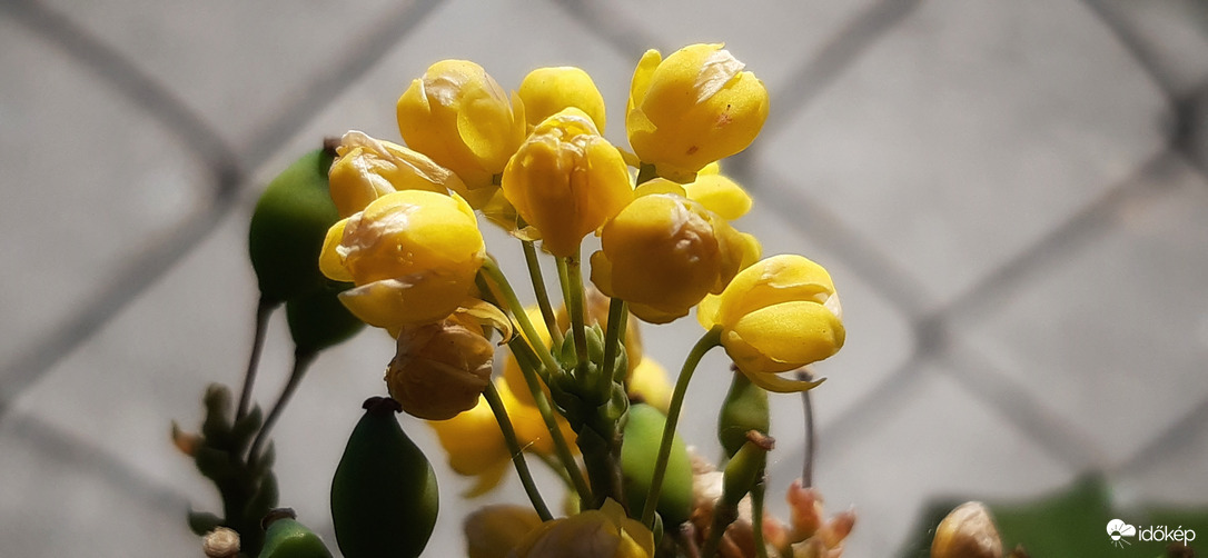 Ma, ha góni akkor holnap??? :))