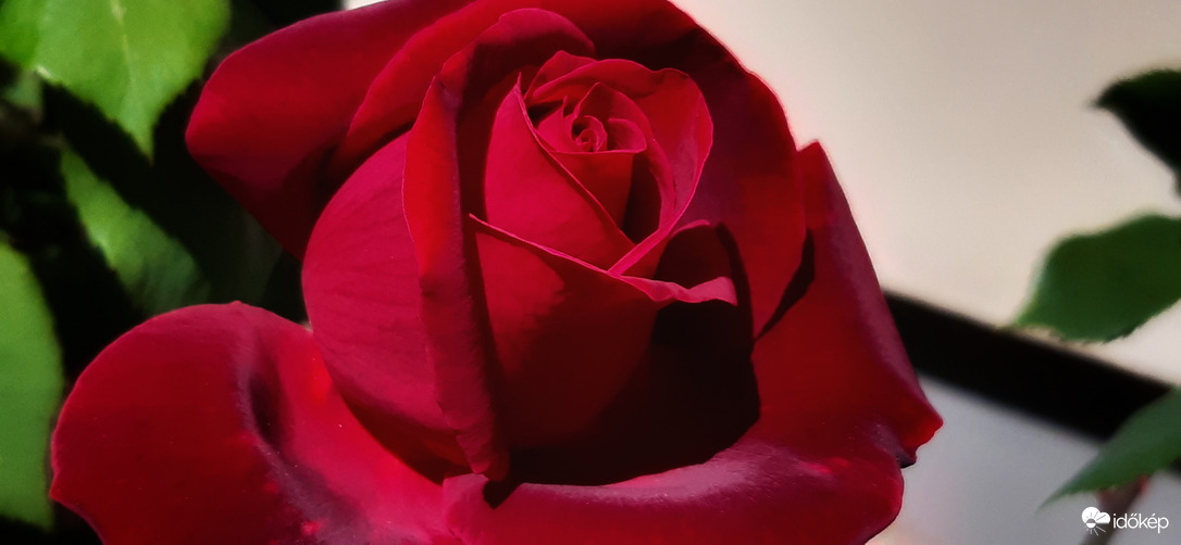 Kerti csemegéző, igéző :)