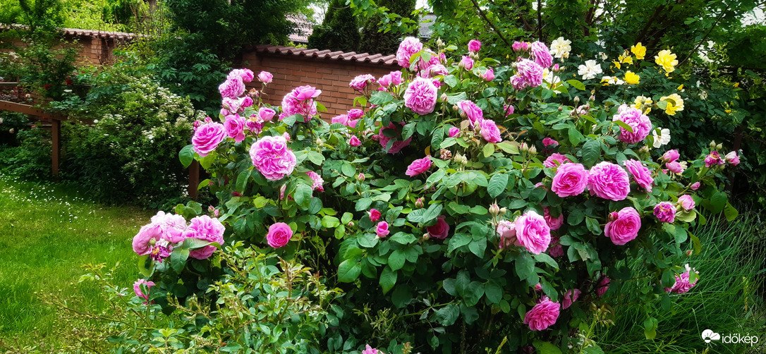 Egy csepp eső sem volt Szegeden :(