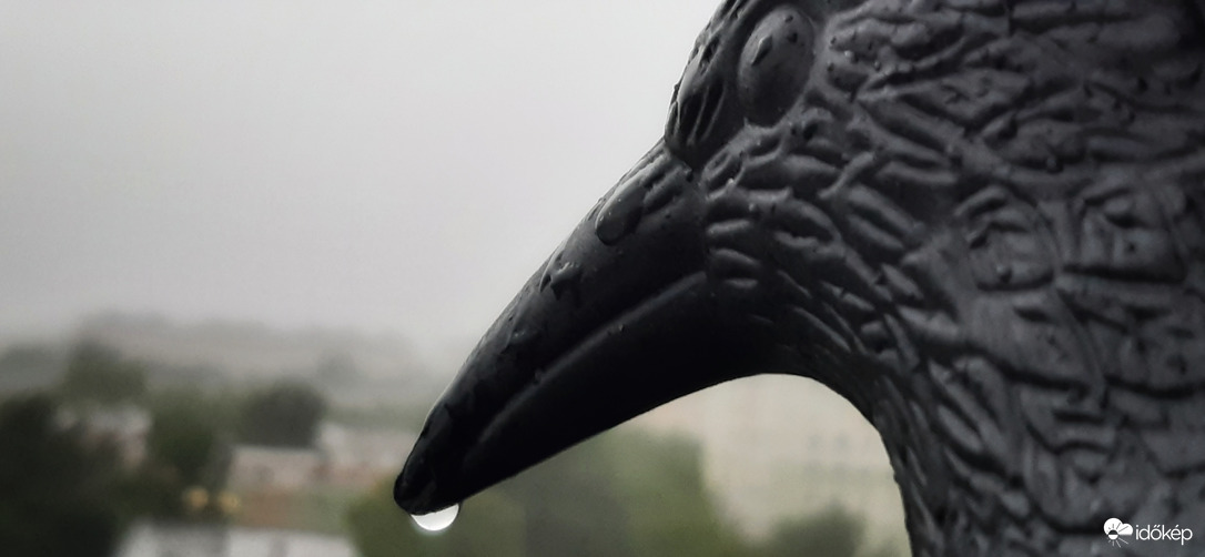 Csőröm(pölő)ön csöpögö csöppök...