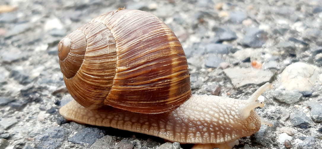 220 felett, észre sem veszed... :D