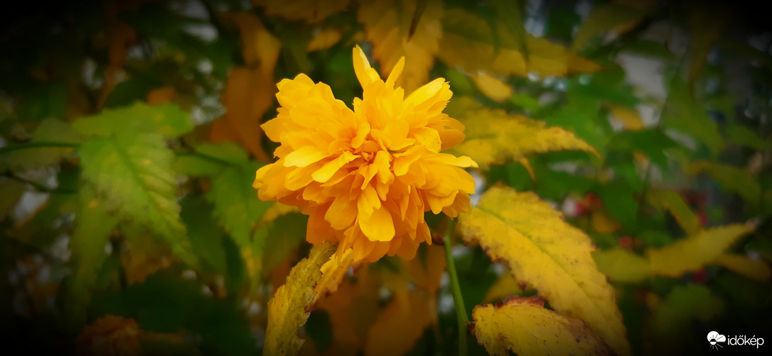 ...lassan, beleolvadok :)