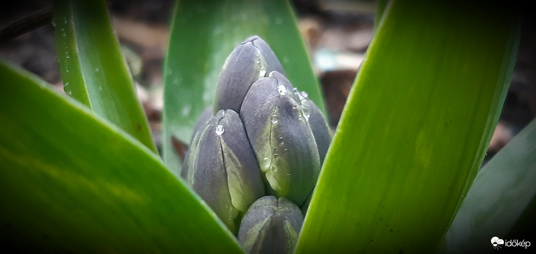 Bújok má, bújok... :)