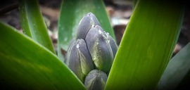 Bújok má, bújok... :)