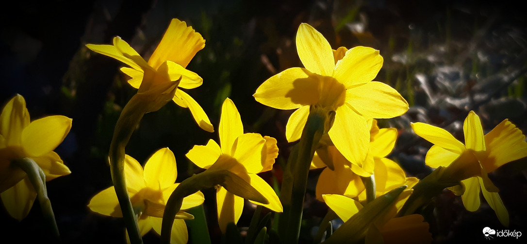 Reggeli napsugarakban 