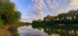 Hajnali napsugarak Algyőn