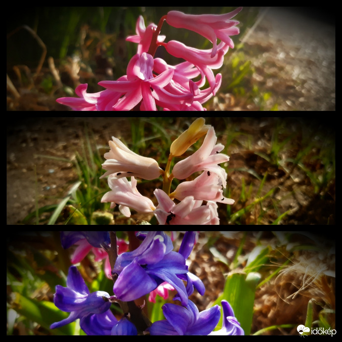 Tavasz van kérem :)