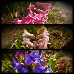 Tavasz van kérem :)