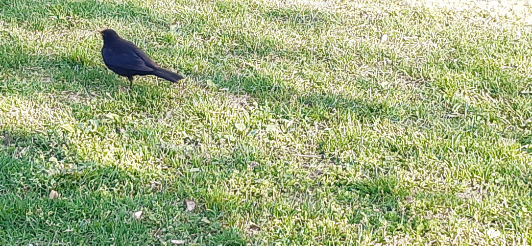 No, én megyek..  :))