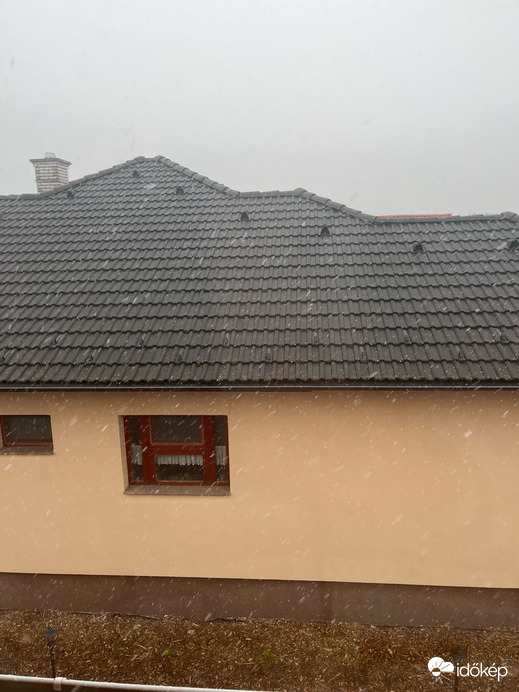Pápa