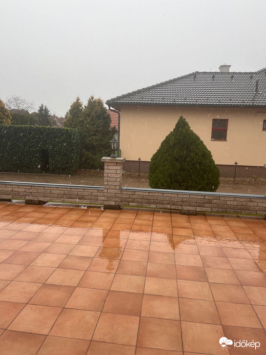 Pápa