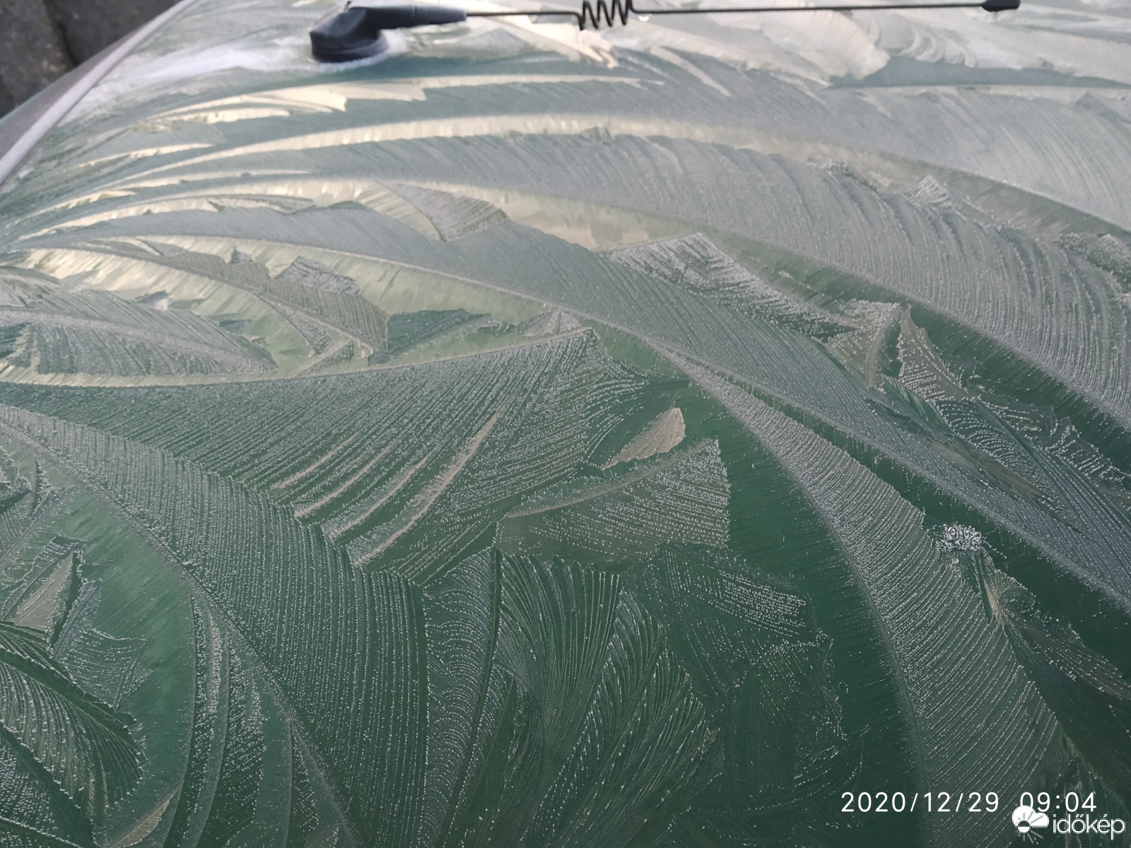 Jégvirág ❄️ az autón