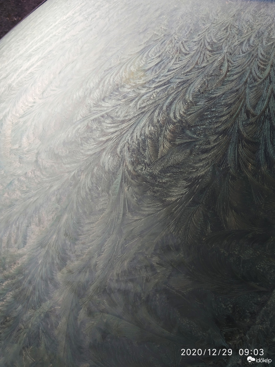 Gyönyörű jégvirág