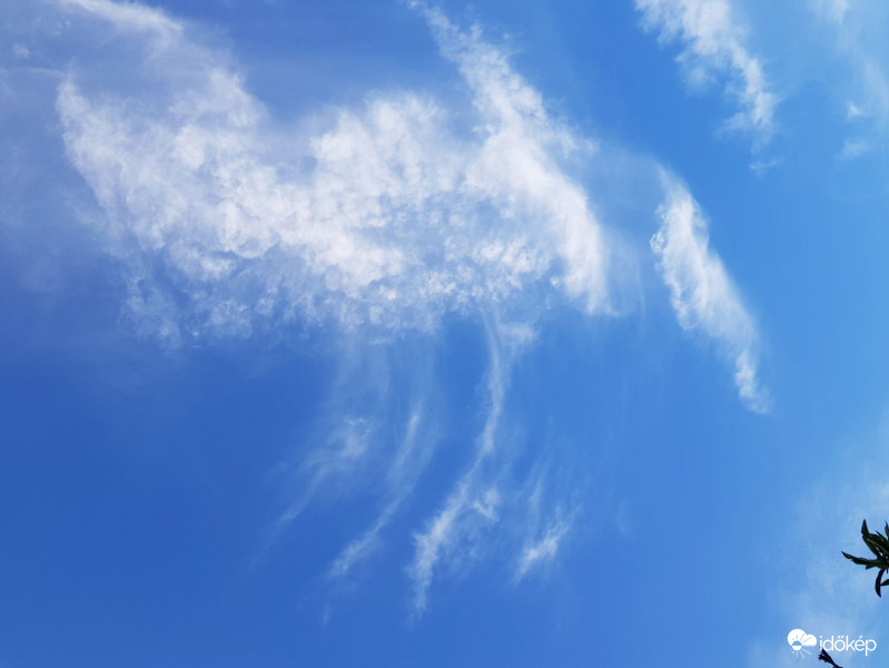 Három lábú varjú. Szerintem :)