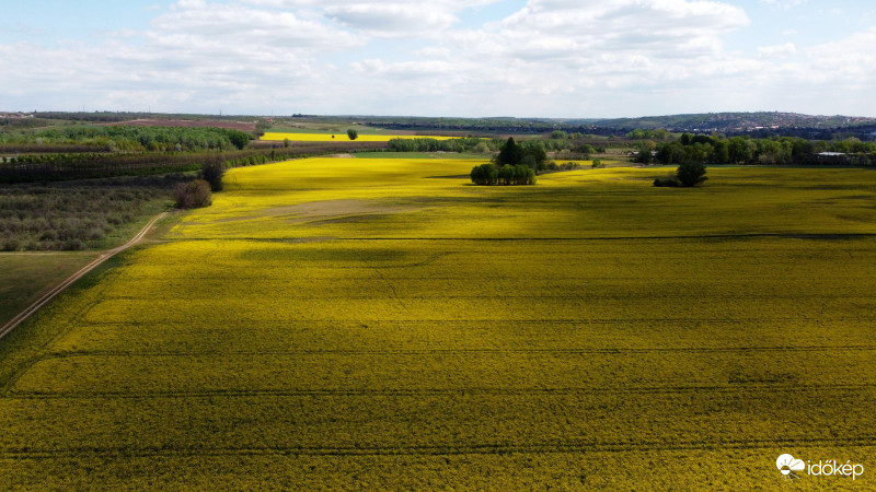 Most már sárgább, csak a felhők árnyékolnak