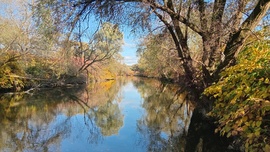 A mágikus Rába ma délután