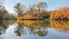 A mágikus Rába ma délután