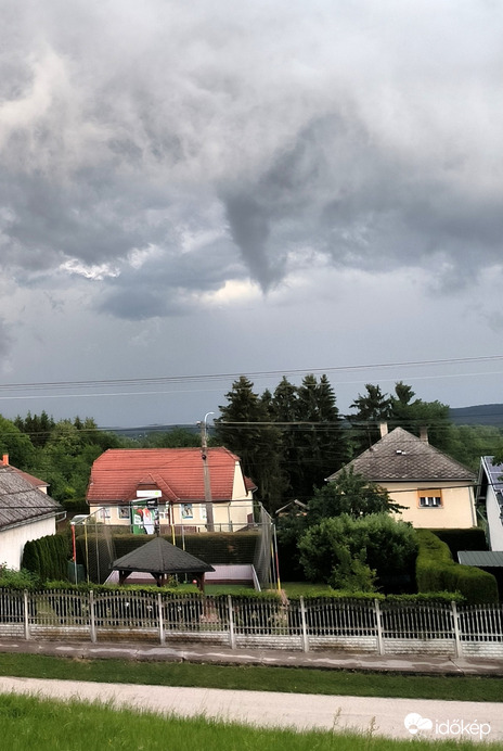 Ma esti tuba