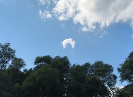 Ma délután