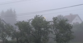 Köd