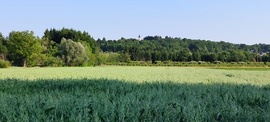 idokep89 fotója