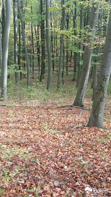 Nagybörzsöny