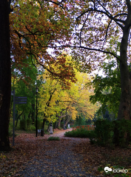 Régebbi őszi fotóm