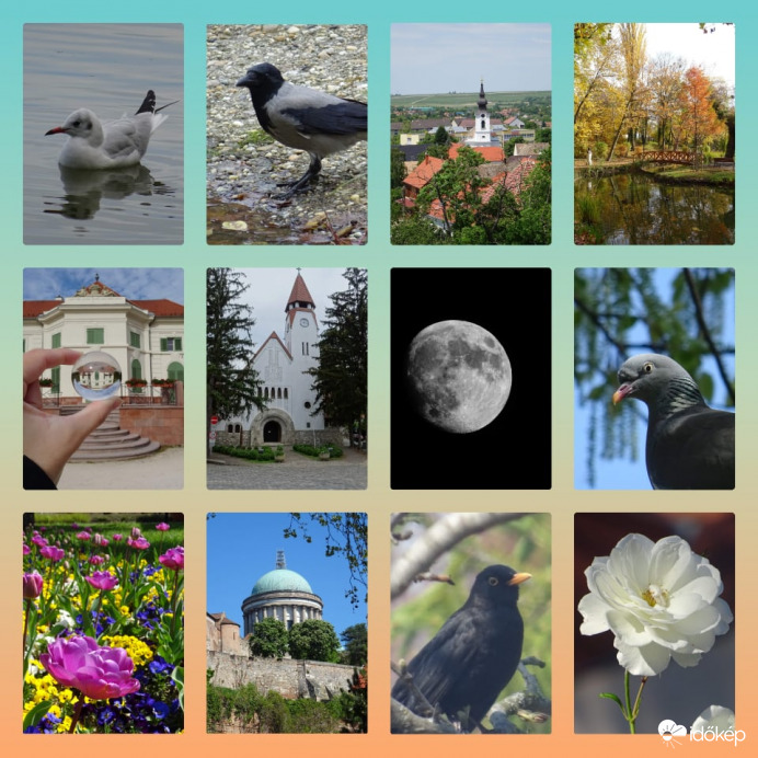 Boldog Új Évet Kívánok Mindenkinek!!!