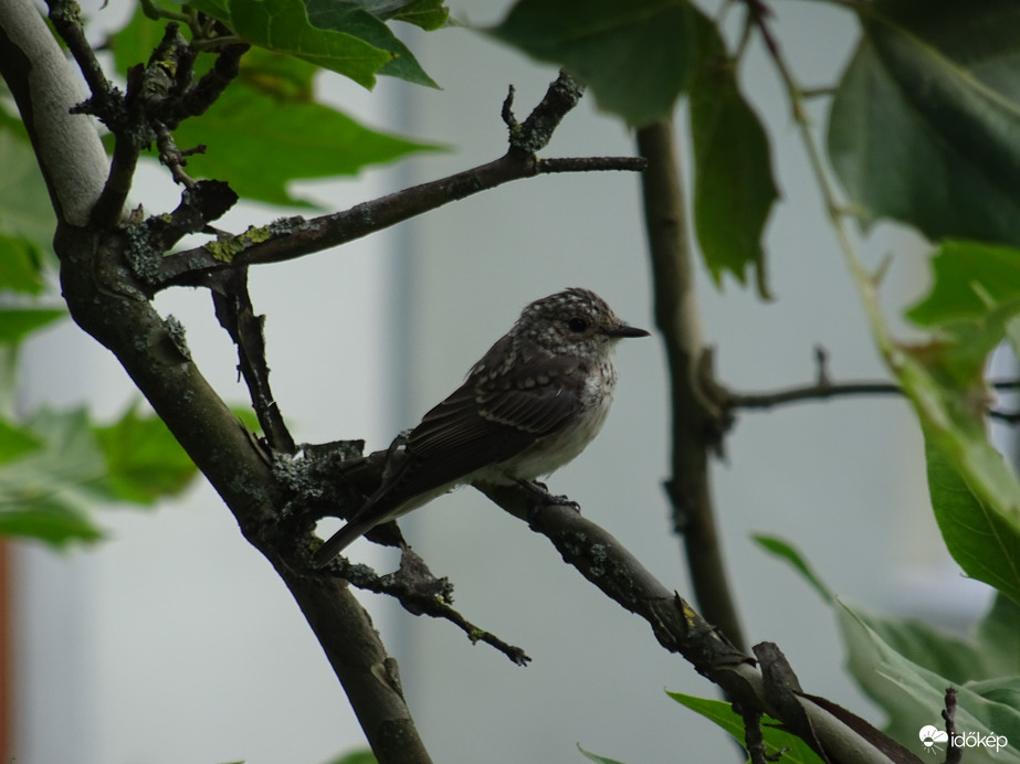 Újbóli találkozásunk 