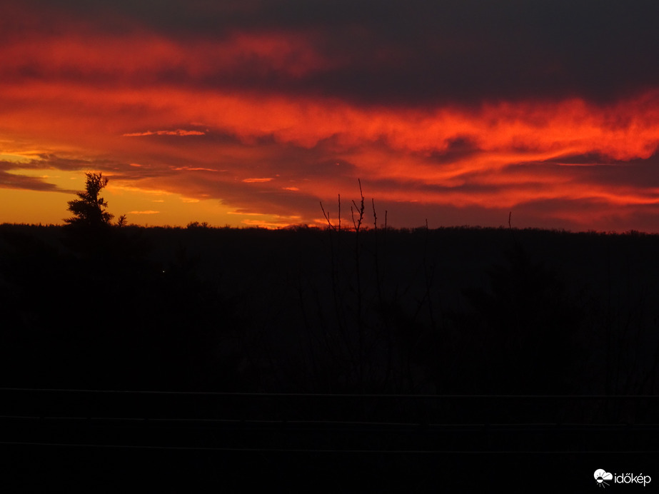 Vértesszőlősi csoda