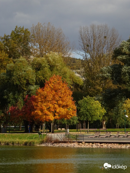 Csónakázó tónál.... 