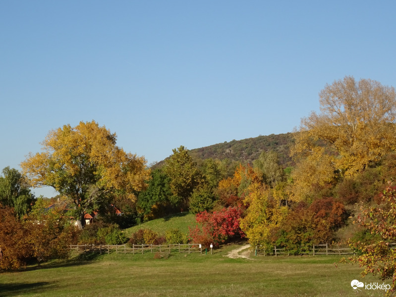 Vértesszőlősi táj 