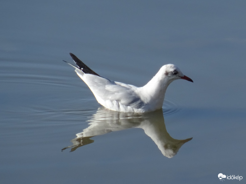 Egy újabb víztükrös kép 