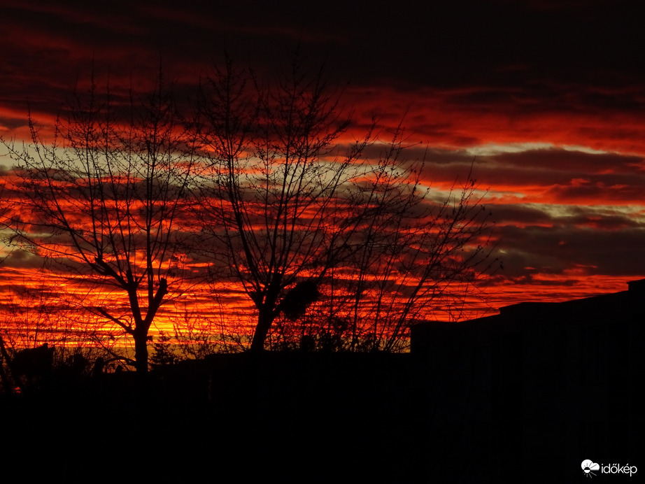 Csoda folytatódik..