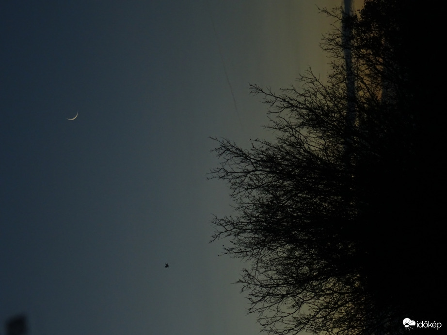 Egy kis reggeli Hold...