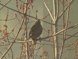 Idén is visszatért...